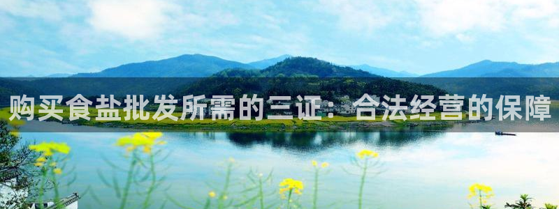 保定威九网络科技有限公司是干嘛的