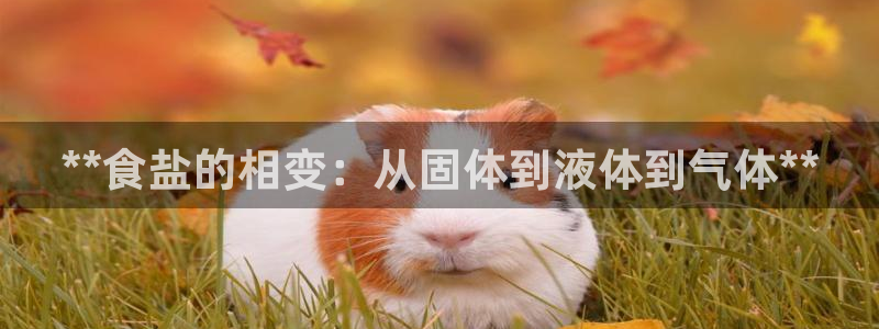 威九国际和之前