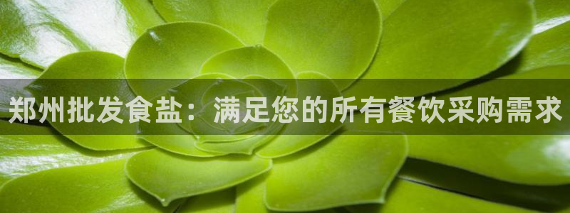 威九国际网站链接怎么打开