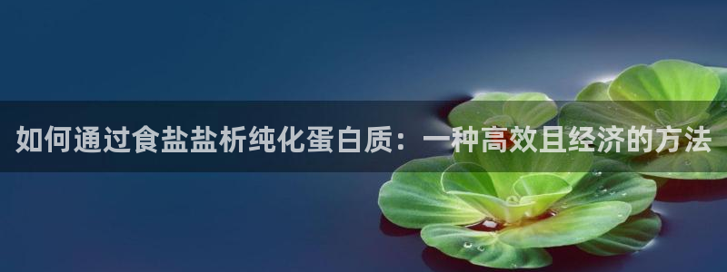 威九国际网站传媒招聘