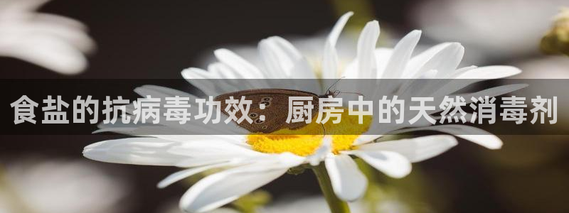 威九国际父亲的友人