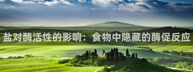 威九国际演员表