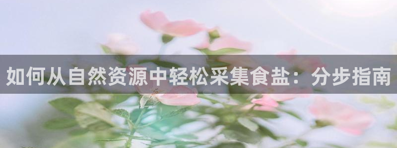 威九国际的女主