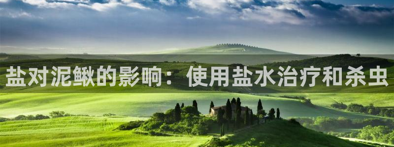 威九国际MM