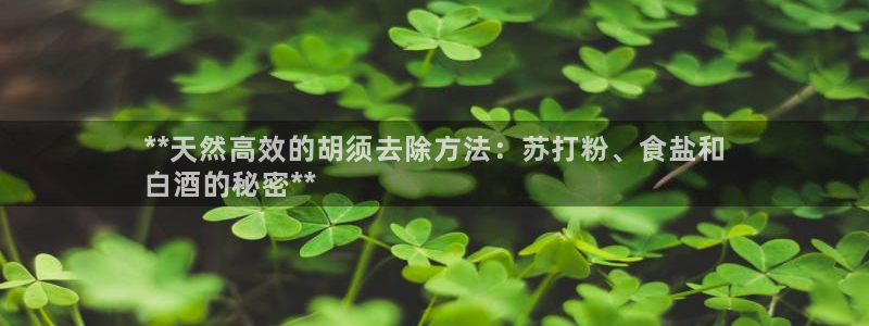 保定威九网络科技有限公司是干嘛的