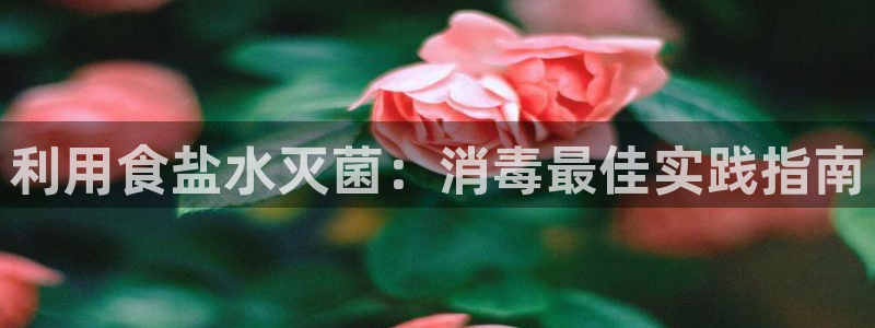 威九国际里的长头发帅哥名字