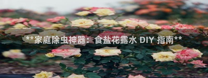 威九国际真人玩家在线对战