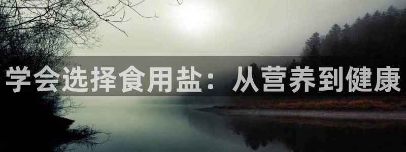 威九国际ppt免费