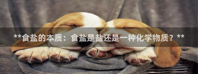 威九国际FF