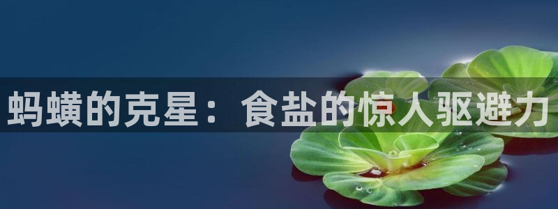 威九国际动漫
