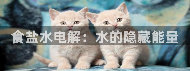 威九国际v96 bet会黑吗