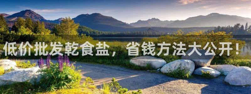 威九国际游戏app(网站)