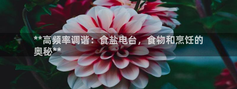 威九国际78m小说