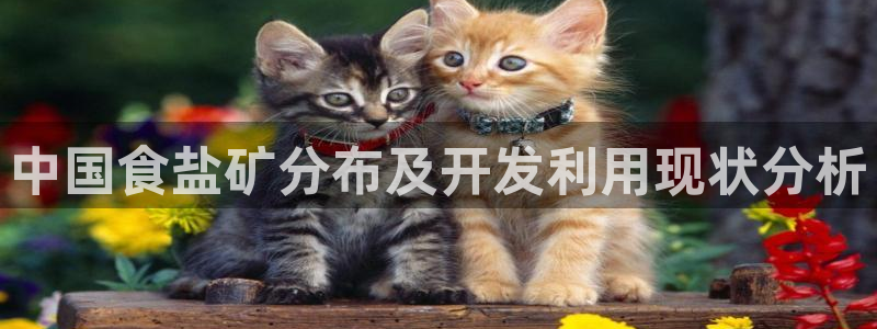 威九国际正规吗