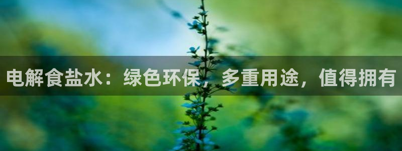 威九国际v96bet官网版