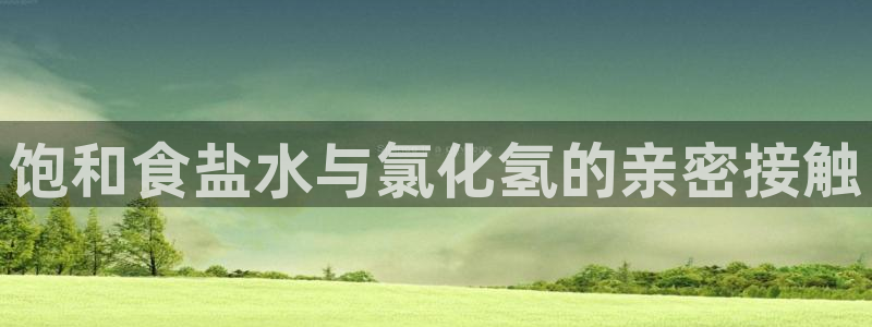 威九国际网站入囗