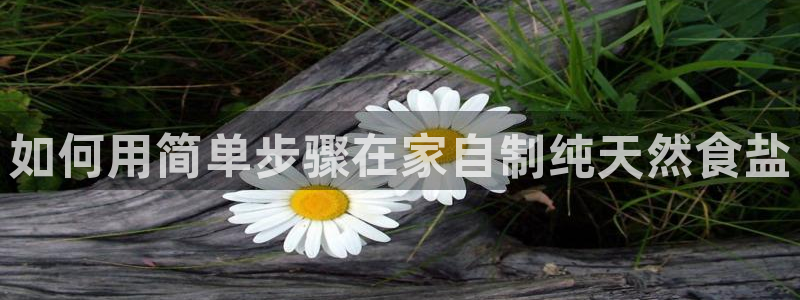 威九国际v96bet下载