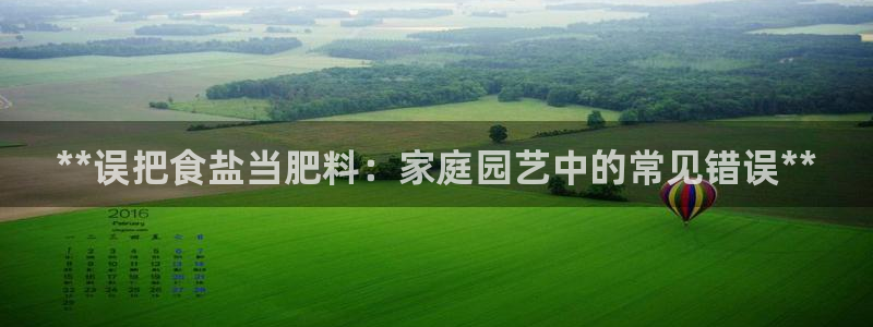 威九国际如何下载