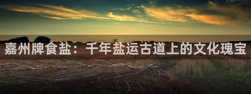 威九国际客服电话人工服务