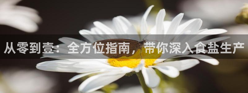 威九国际风情万种