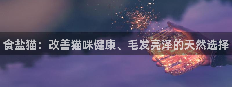 威九国际