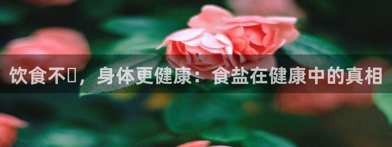 威九国际78m小说