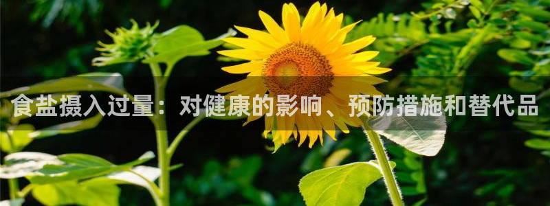 威九国际66m66大陆
