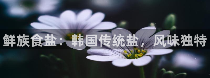 威九国际清砖码头怎么样