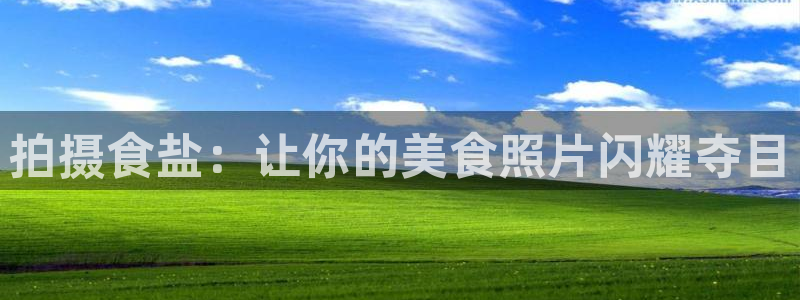 威九国际精选