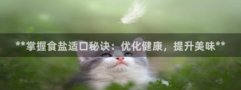 威九国际韩国