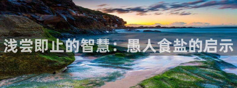 威九国际app网站官网