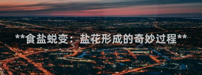 威九国际空降视频