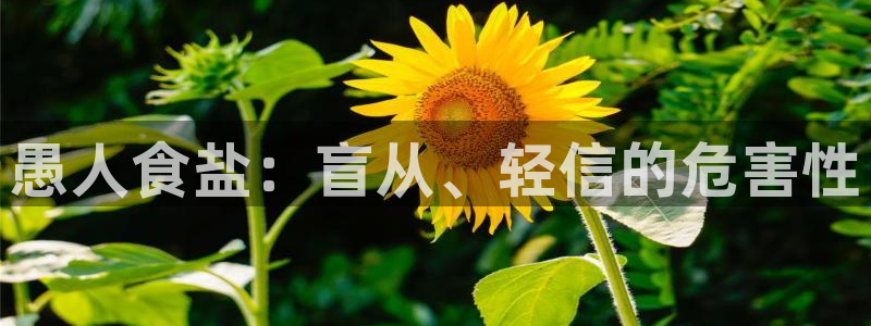 威九国际可以提现吗现在