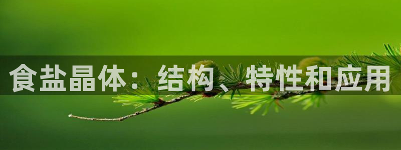 威九国际精忐