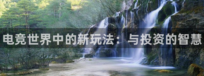 火狐电竞平台官网：电竞世界中的新玩法：与投资的智慧