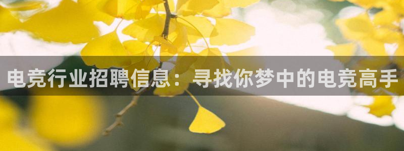 火狐电竞官网：电竞行业招聘信息：寻找你梦中的电竞高手