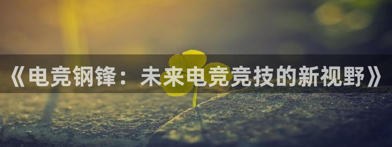 火狐电竞酒店：《电竞钢锋：未来电竞竞技的新视野》