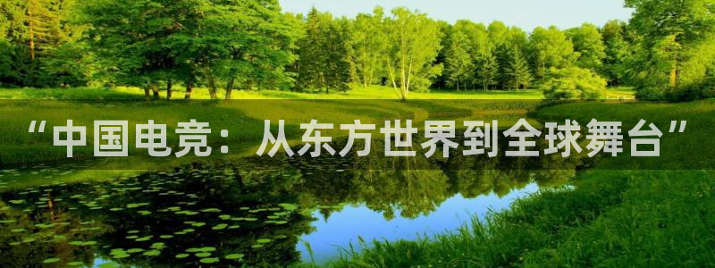 火狐电竞APP下载：“中国电竞：从东方世界到全球舞台”