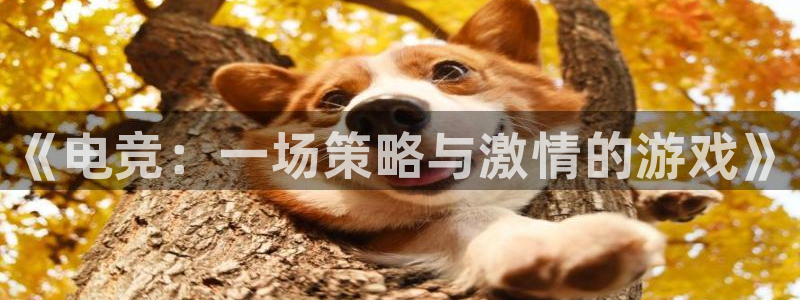 火狐电竞官网入口：《电竞：一场策略与激情的游戏》