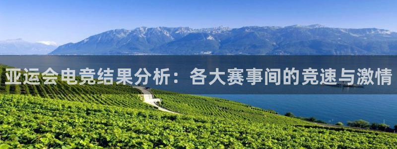 火狐电竞登录app：亚运会电竞结果分析：各大赛事间的竞速与激情